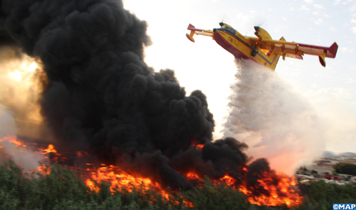 Tanger: un incendie dans la forêt diplomatique maîtrisé, 36 ha ravagés