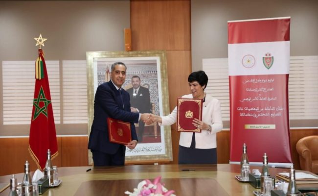 Cour des comptes DGSN