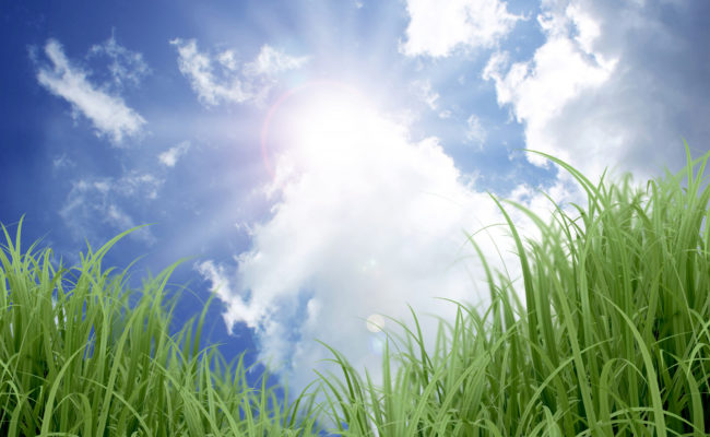 Prévisions météorologiques