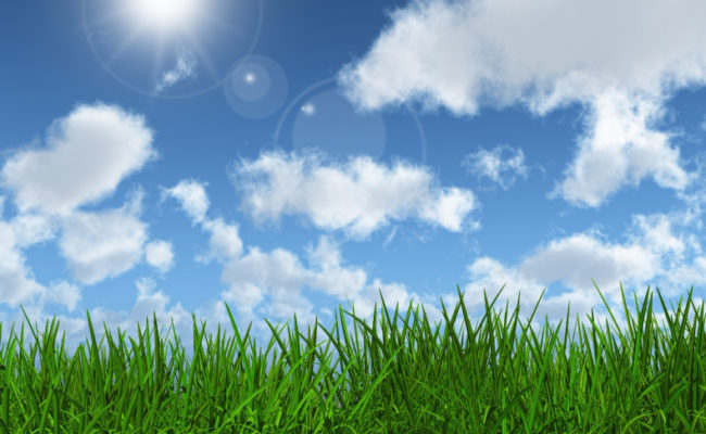 Prévisions météorologiques pour ce mercredi