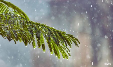 prévisions météorologiques