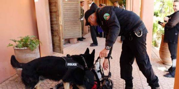 نهار العيد .. “الكلاب البوليسية” تحبط تهريب 160 كيلو ديال الحشيش
