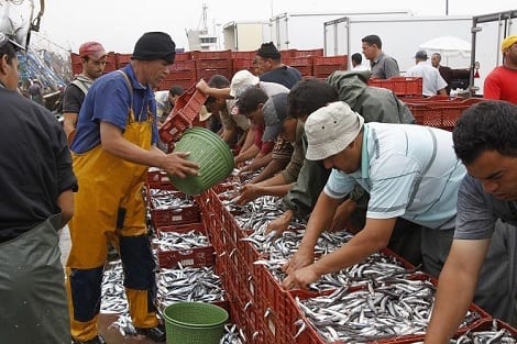 المفوض الاروروبي…ساكنة الأقاليم الجنوبية تستفيد من مداخيل الصيد البحري