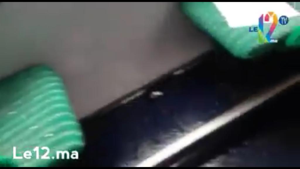 شاهد بالفيديو. التبروري يطادر الركاب وسط طوبيس بيضاوي
