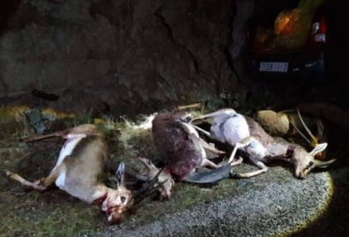 المحكمة تدين قاتلَي غزلان تزنيت بالسجن والغرامة