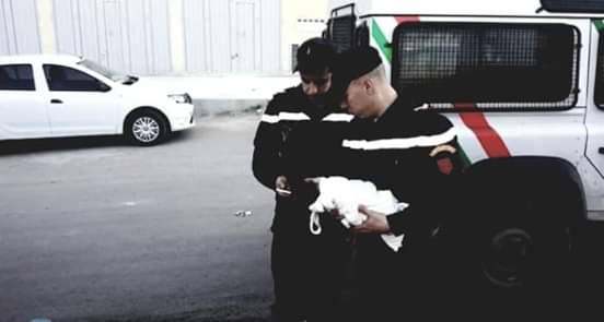 جثة رضيع ثانية وسط القمامة تستنفر امن طنجة