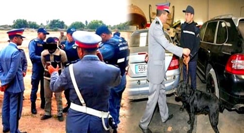 الناظور. الدرك يفكك شبكة إجرامية خطيرة في سرقة المنازل