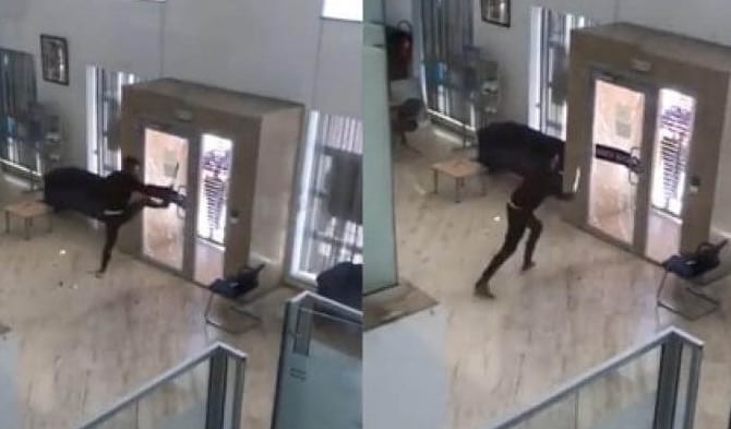 طنجة. المحكمة تدين الشاب الذي حاول السطو على بنك