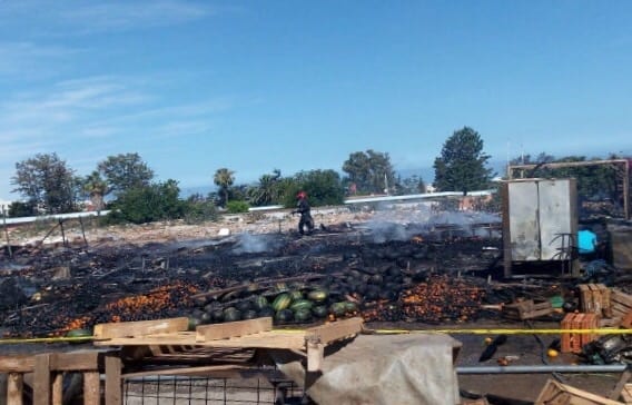 تمارة. النيران تلتهم سوقا للخضر (صور وفيديو)