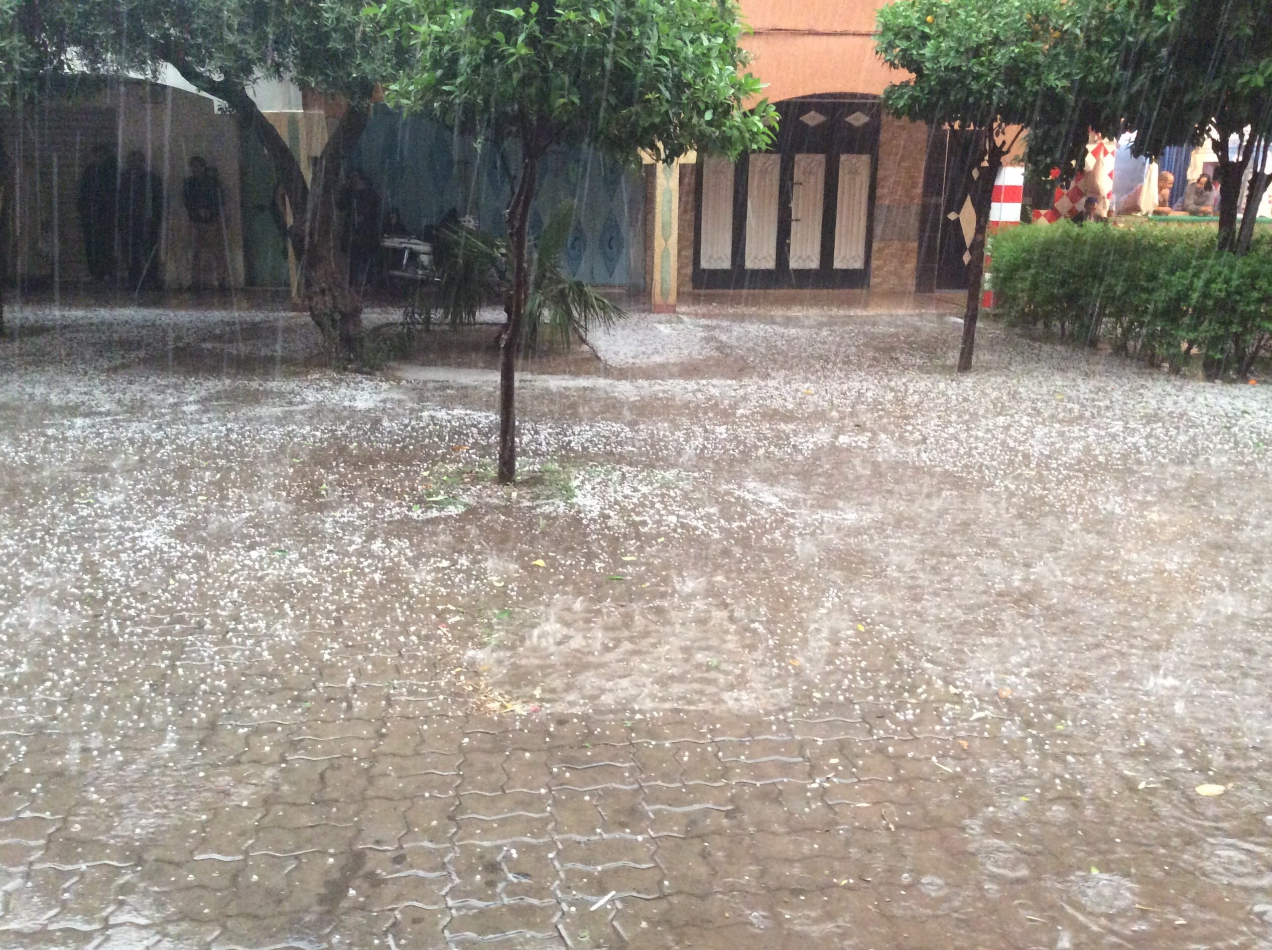 مراكش. أمطار عاصفية و”تبروري” (فيديو)