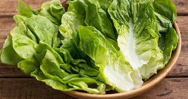 “ردو بالكم” الكشف عن بكتيريا قاتلة بأوراق الخس