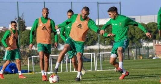 الأسود يبدؤون معسكرهم استعدادا لكأس إفريقيا للأمم