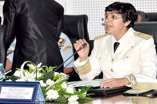 استنطاقات” العدوي لولاة وعمال حول “اختلالات” التنمية البشرية (صحافة)