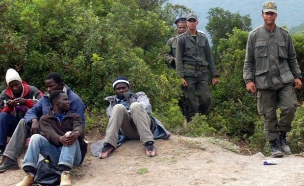 الناظور. إيقاف 45 مهاجرا إفريقيا قبل اقتحامهم سياج مليلية المحتلة