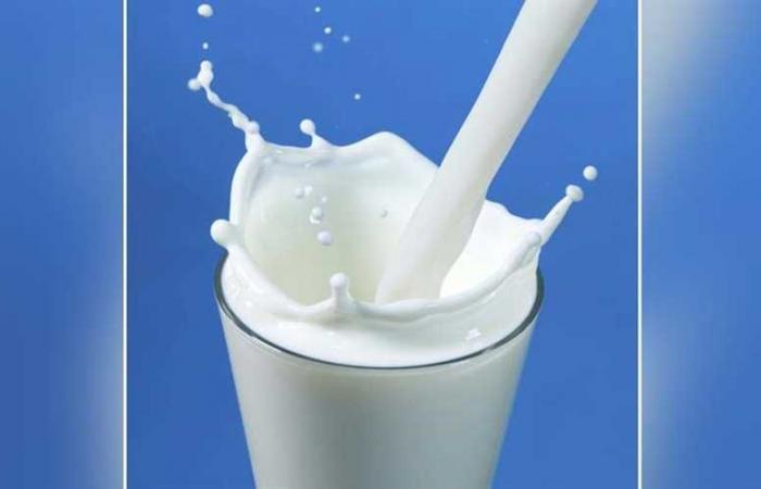 بكتيريا الألبان فعالة في تعزيز المناعة