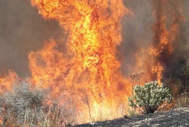 أصيلة. حريق مهول يلتهم مساحات شاسعة في غابة “بوفراح”