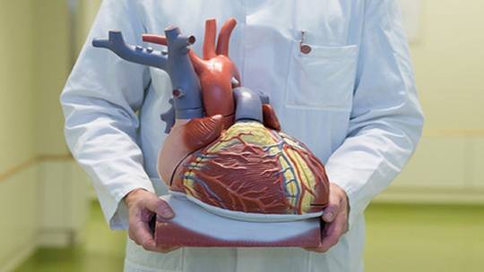 اكتشاف السبب الرئيس للوفيات المفاجئة الغامضة الموت المفاجئ