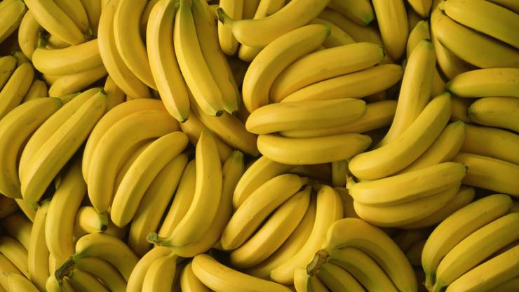 خبراء يحذرون من انقراض أشهر أنواع الموز في العالم!