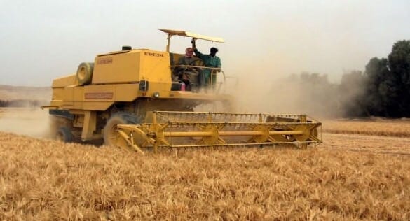 صادم. آلة حصاد تحوّل رجل فلاح إلى أشلاء في أزيلال