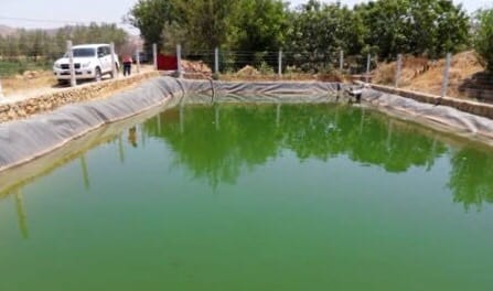 شيشاوة. مصرع شاب غرقا في صهريج ضيعة فلاحية