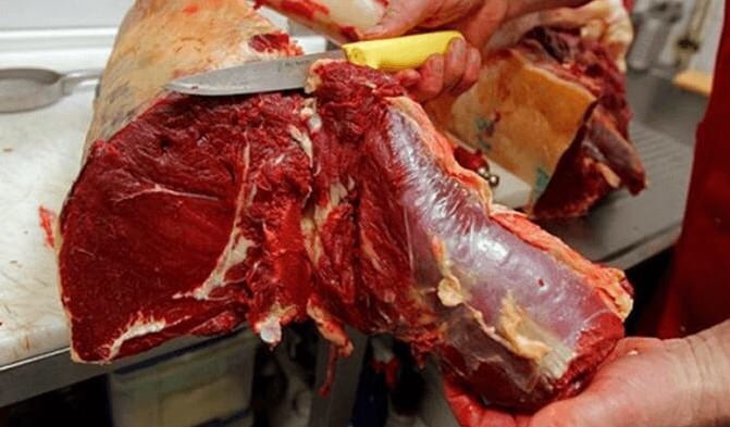 كازا. “سندويتشات” بلحوم حمير تستنفر السلطات (صحافة)