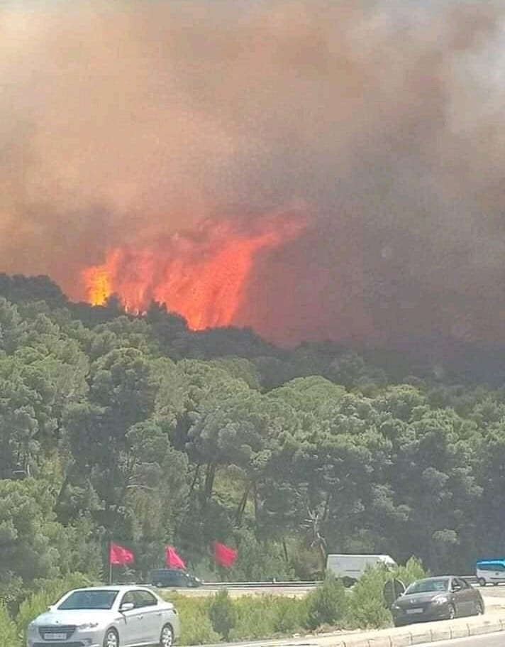 بالفيديو والصور. حريق يلتهم غابة “عين الحصن” في تطوان