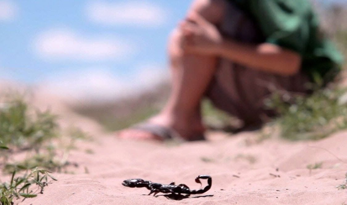 مفجع. لسعة عقرب تقتل طفلا من وزان في مستشفى تطوان