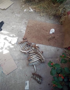 مراكش. سكان غاضبون من نفايات طبية سامة في مستوصف باب تاغزوت