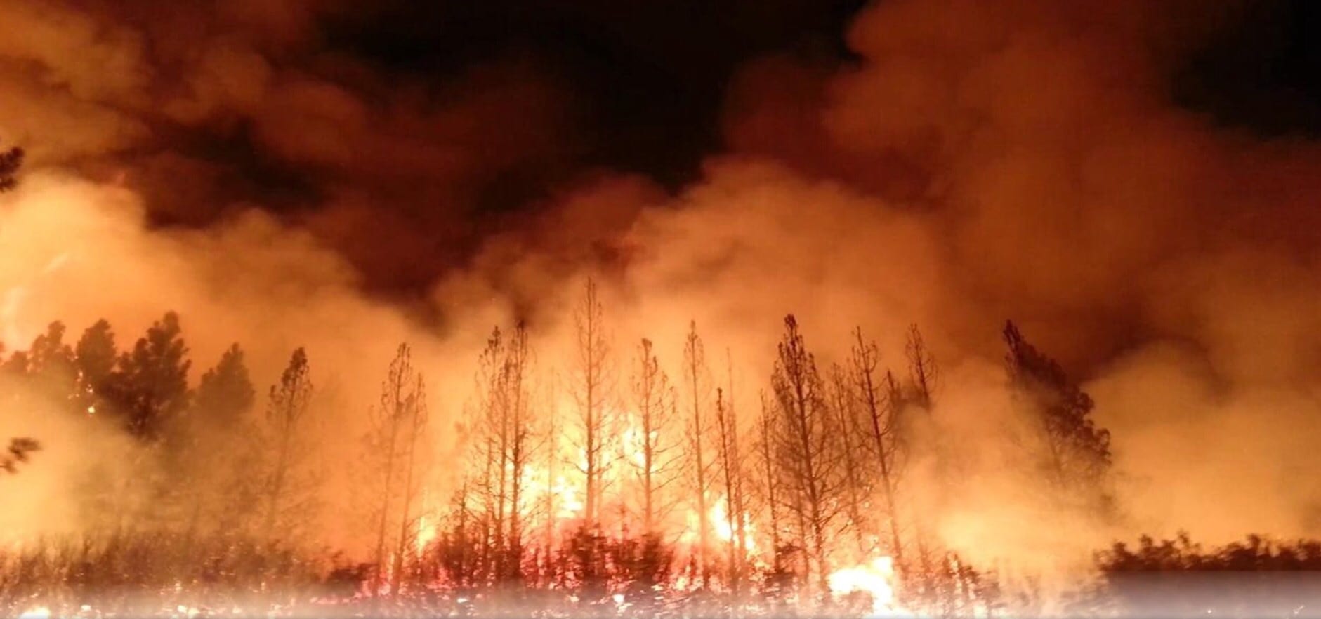 تازة. حريق يلتهم عشرات الهكتارات في “الخريبات” والسكان “غاضبون”