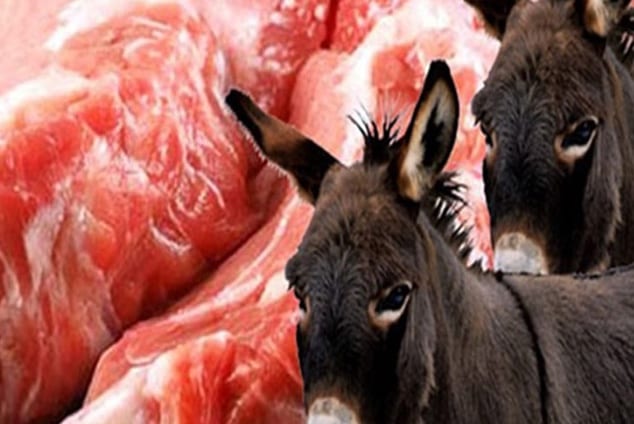 كازا. العثور على رؤوس حمير وبيضاويون يضعون أيديهم على… بطونهم