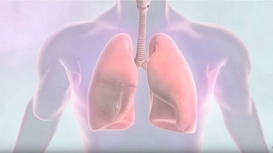 كيف نحمي أنفسنا من سرطان الرئة