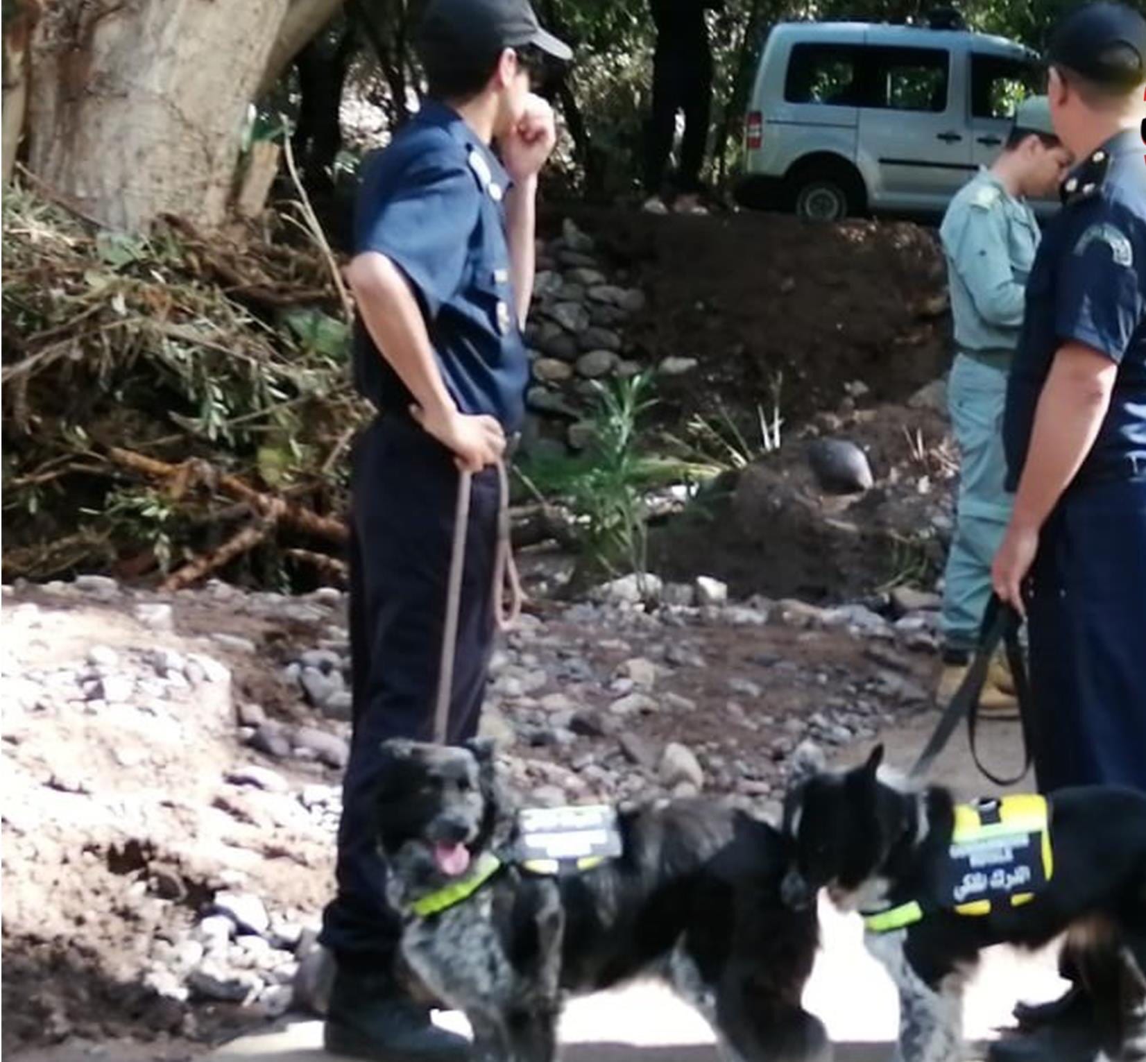 فاجعة “ملعب الموت”. وصول فرقة مختصّة بالكلاب المدربة للبحث عن المفقود