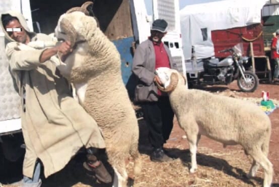 ها اللي ما بْغيناشّ نسمعو.. رب أسرة يتجرّع سما وآخر يموت وهو يستعدّ للعيد