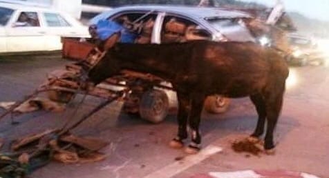 شتوكة. “كارّو” يُفجع والدين في طفلهما ابن الخامسة