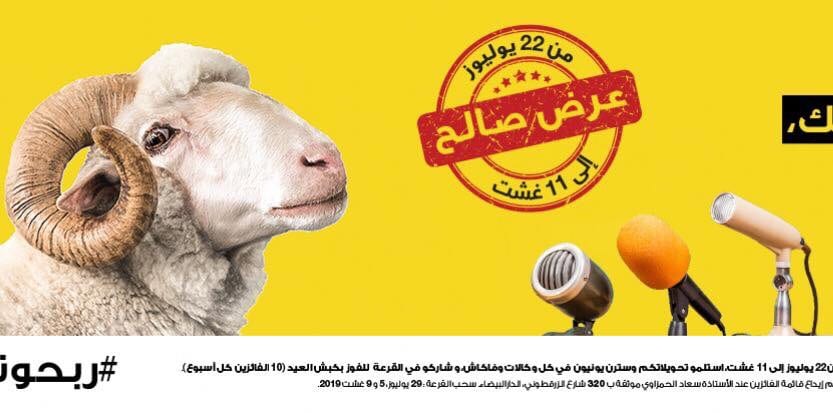 التوراني يكتب: كلَّ أضحى وأنتم… ماع ماع ماع