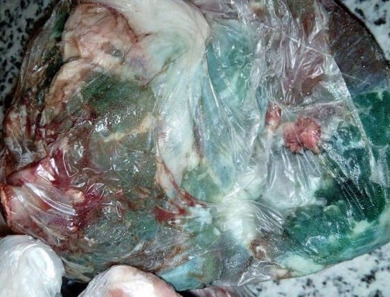 تعفّن لحوم الأضاحي في زاكورة. “أونسا” يوضّح الحقيقة