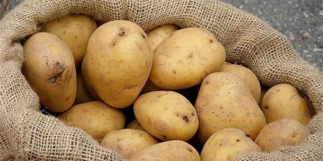دراسة..تكشف عن علاقة البطاطس بصحة القلب