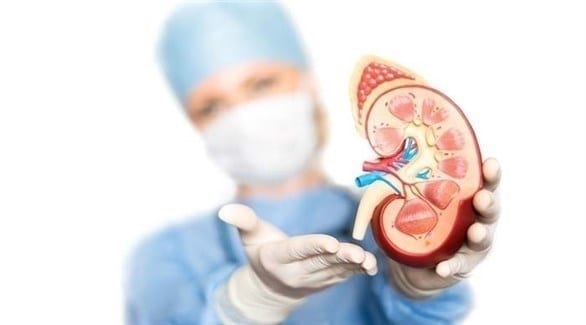 تحذير..مشاكل صحية تزيد خطر الإصابة بأمراض الكلي