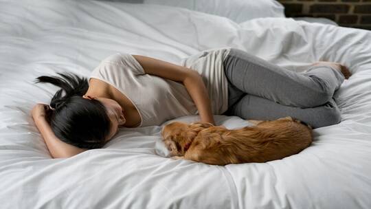 النوم بجانب الكلاب يحمل فوائد صحية مثيرة!