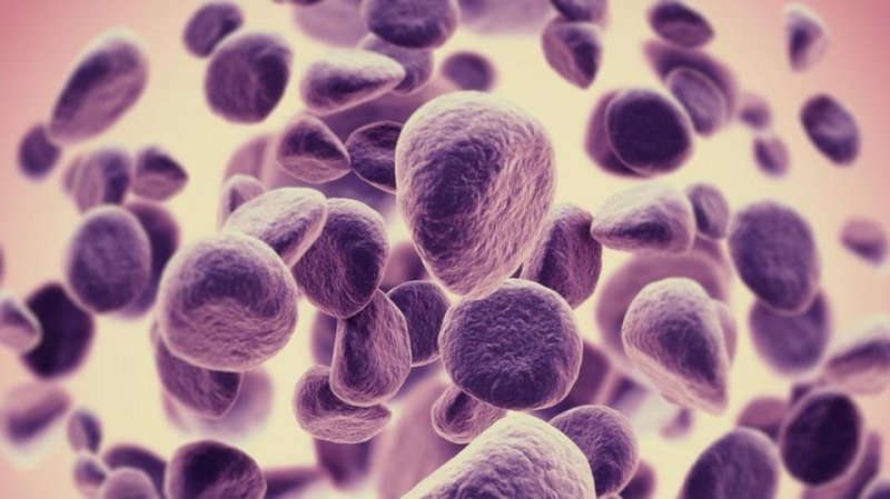 المشي و الضحك و القهوة..عادات يومية “مقاومة” للمرض القاتل