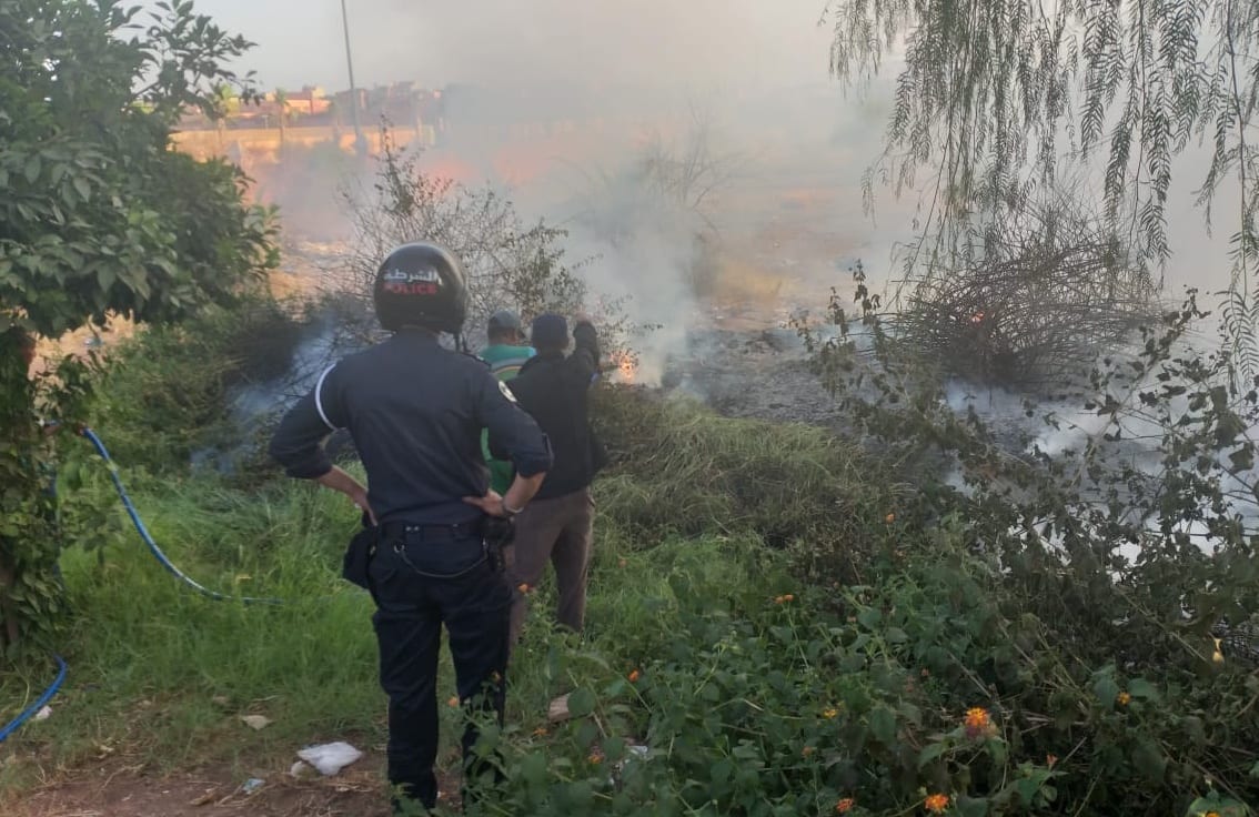 مراكش. حريق في الحزام الأخضر “واحة الحسن الثاني”