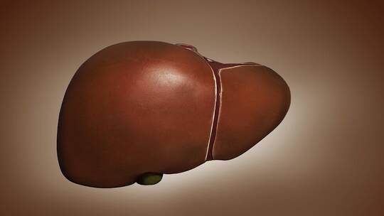 العلماء يكشفون خطورة “الفركتوز”على الكبد