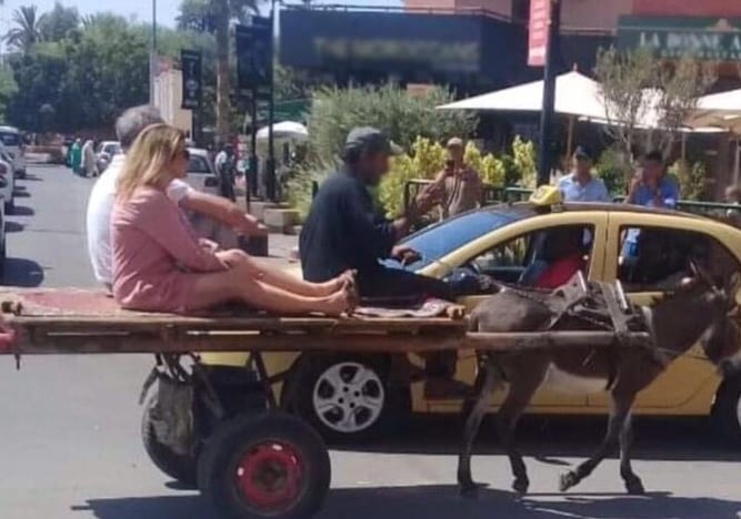 التّفجيجة تبرّر الوسيلة.. سائحان أجنبيان “يتجولان” في مراكش فوق عربة “معاشو”
