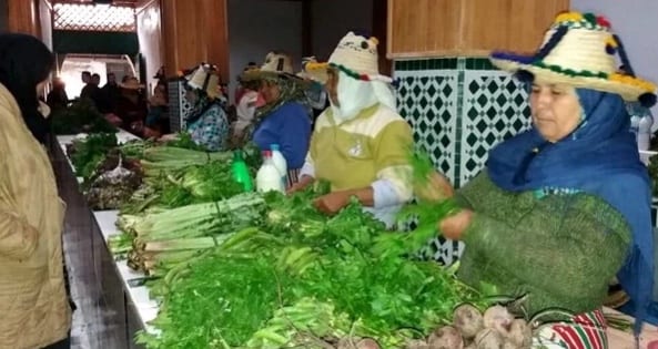 الحسيمة تحتضن الملتقى الجهوي للتعاونيات الفلاحية النسوية