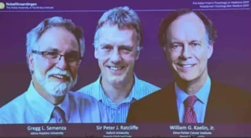 في افتتاح “موسم” الجائزة الأشهر.. ثلاثة علماء يتقاسمون نوبل في الطب