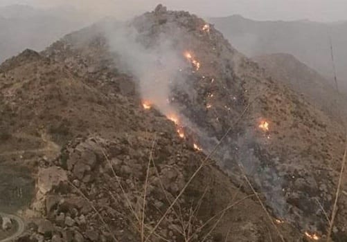 شيشاوة. حريق في قمّة جبل والوقاية تواجه صعوبات
