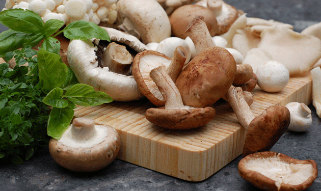 “الفطر”.. دراسة تكشف أهمية تناوله في القضاء على السرطان