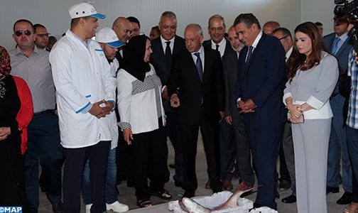 أخنوش:”سوق طنجة الجديدة سيمكن من ضمان تسويق السمك في أحسن ظروف الشفافية والجودة”