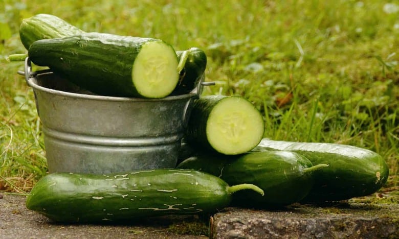 الخيار .. من اهن مفاتيح الرشاقة والجمال