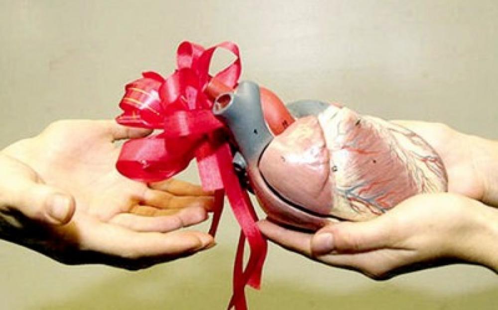 تحقيق. المغاربة و التبرع بالأعضاء..أسئلة دينية ومخاوف تجارية